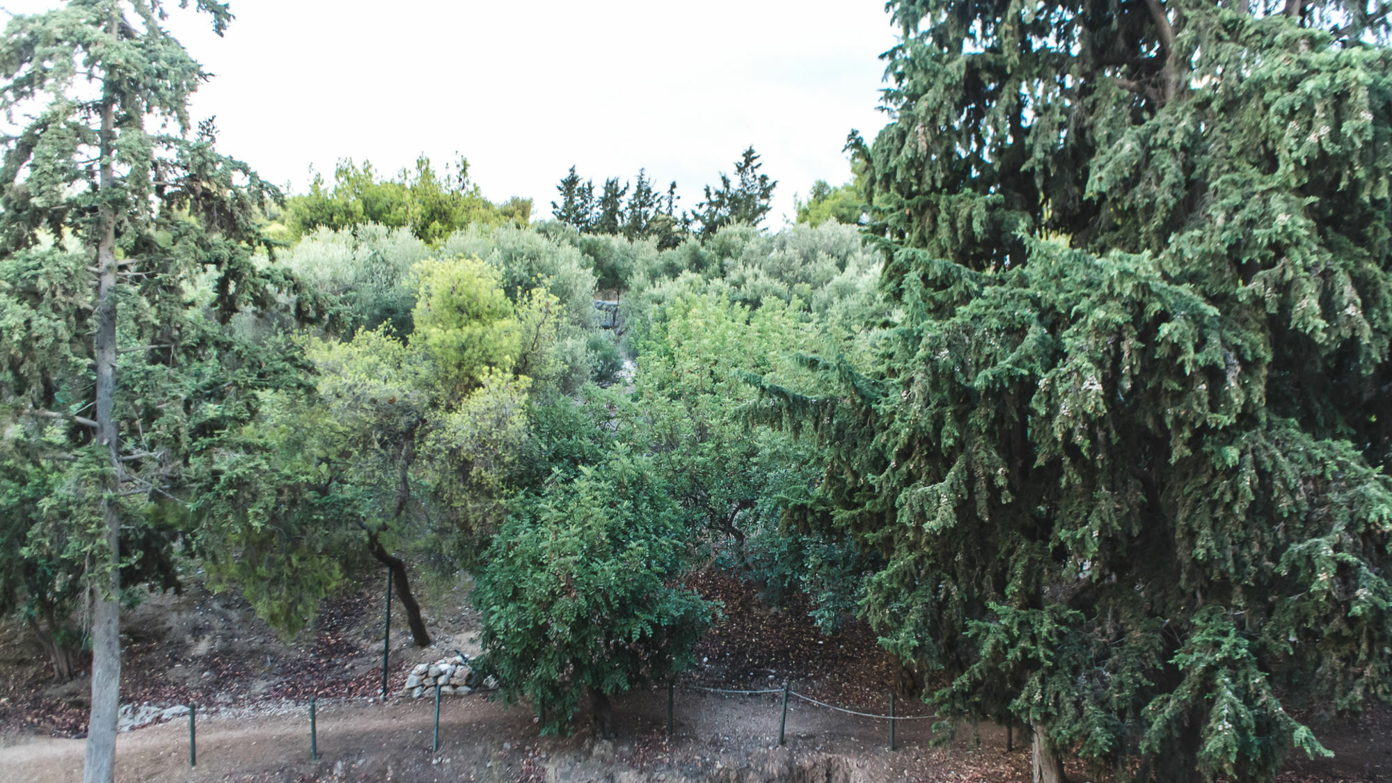 אתונה Acropolis Luxury Apartments מראה חיצוני תמונה